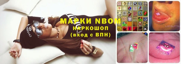сатива Верхний Тагил