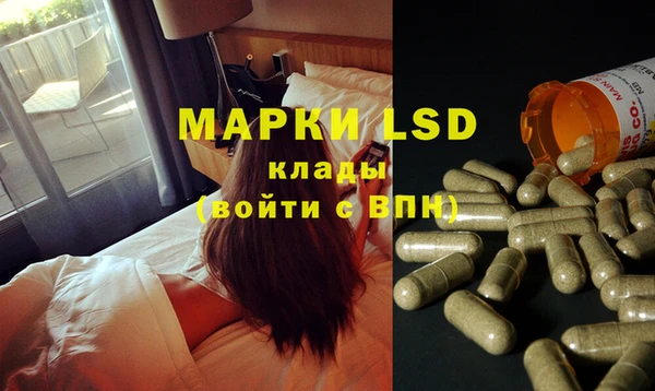 спиды Верея