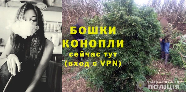 сатива Верхний Тагил