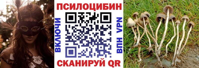 закладка  Ува  Галлюциногенные грибы Magic Shrooms 